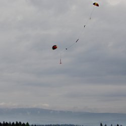 img_0382 pandy r panter ap 740 ns - navrat wr